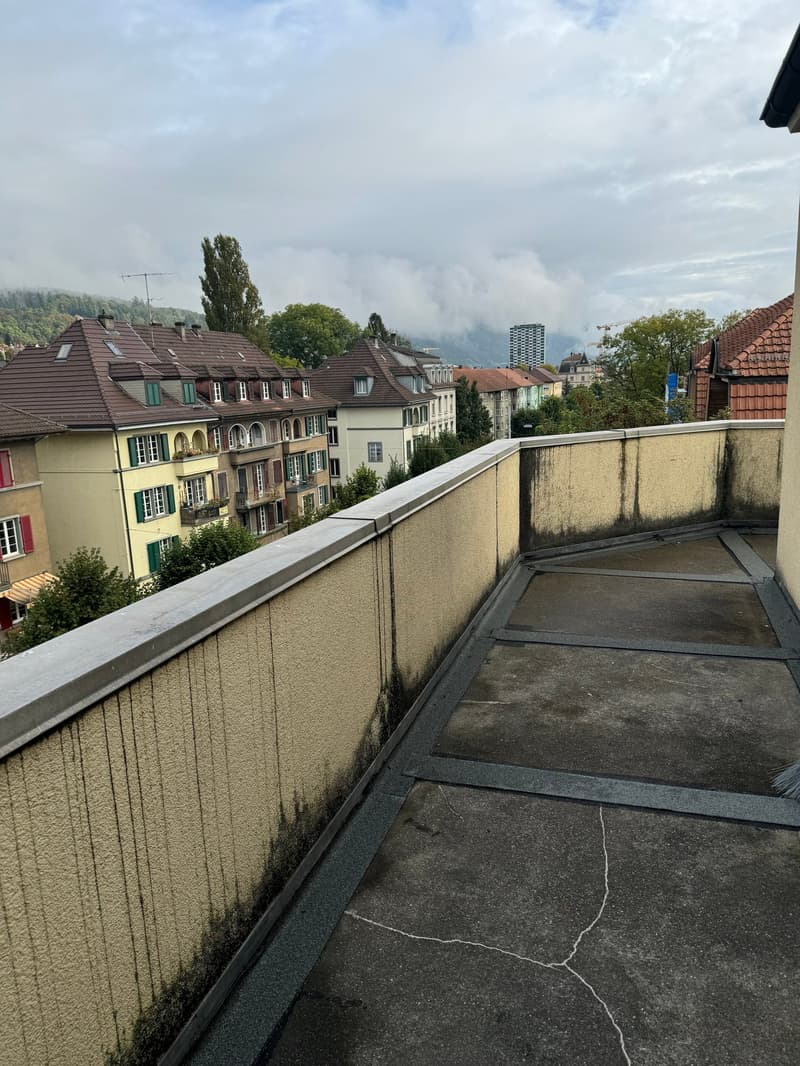 A rooftop terrace with a concrete floor and a concrete wall. The wall has some stains and a metal railing. The terrace overlooks a cityscape with buildings and trees.