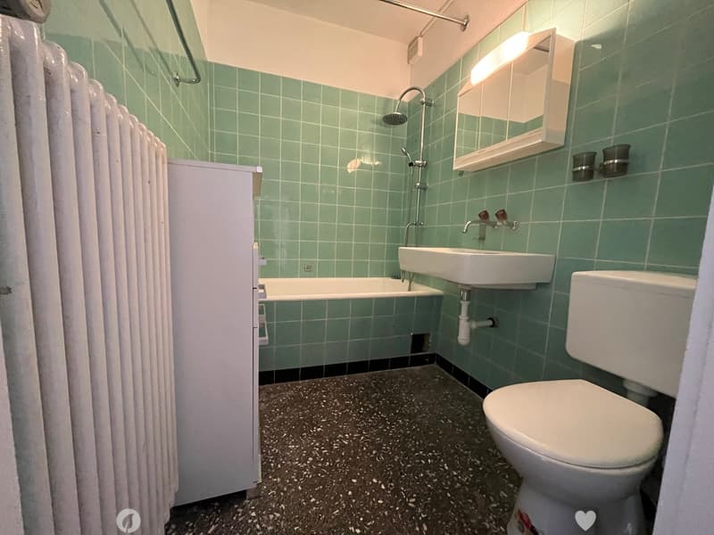 MFH mit grossem Mietzinspotenzial (6)