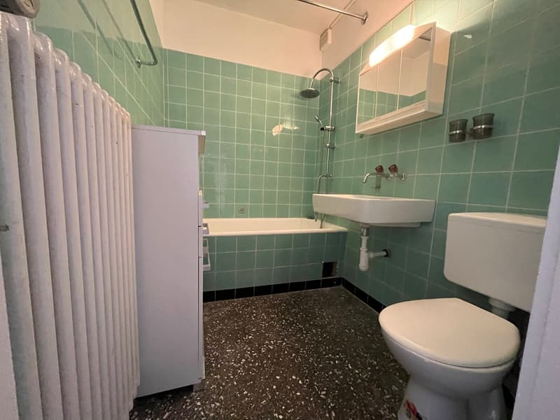 Apartment building with large rental income potential (6)