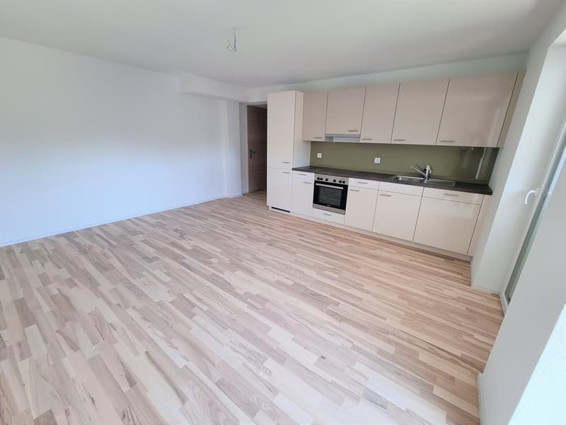 Wohnzimmer / Küche