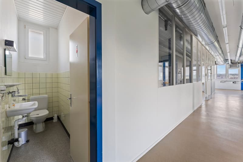 Immobile commerciale polivalente con unità abitativa in vendita a Bettlach (7)