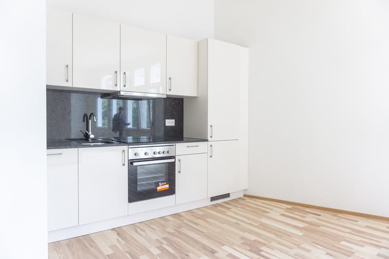Large studio apartment with balcony in the heart of Solothurn (1)