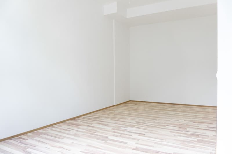 Large studio apartment with balcony in the heart of Solothurn (5)