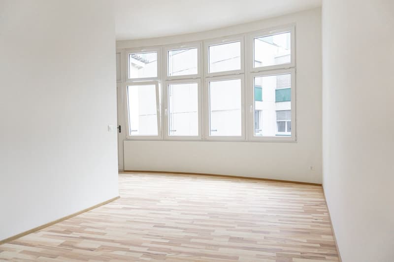 Large studio apartment with balcony in the heart of Solothurn (4)