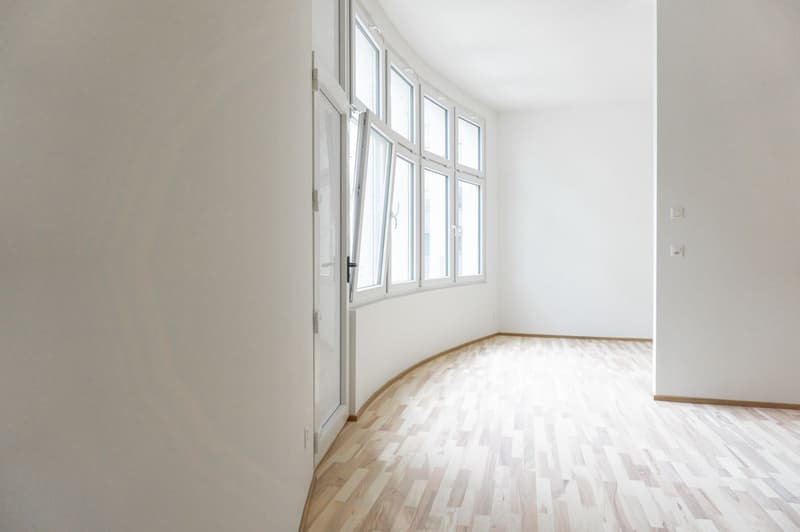 Large studio apartment with balcony in the heart of Solothurn (3)
