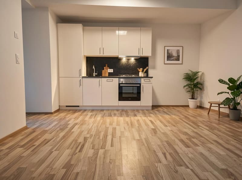 1-Zimmerwohnung im Solothurner Zentrum zu vermieten (2)