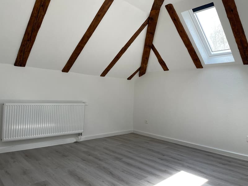 Première mise en location: 1er mois de location gratuite! (4)