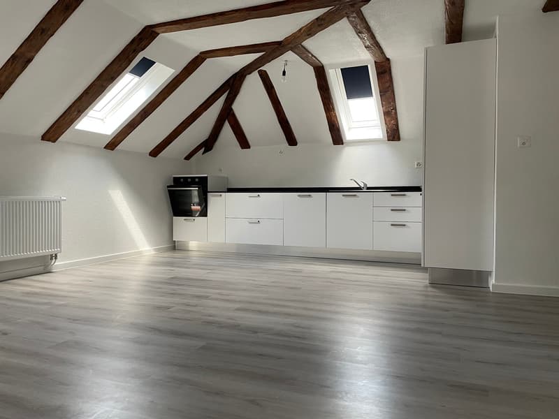 Première mise en location: 1er mois de location gratuite! (2)