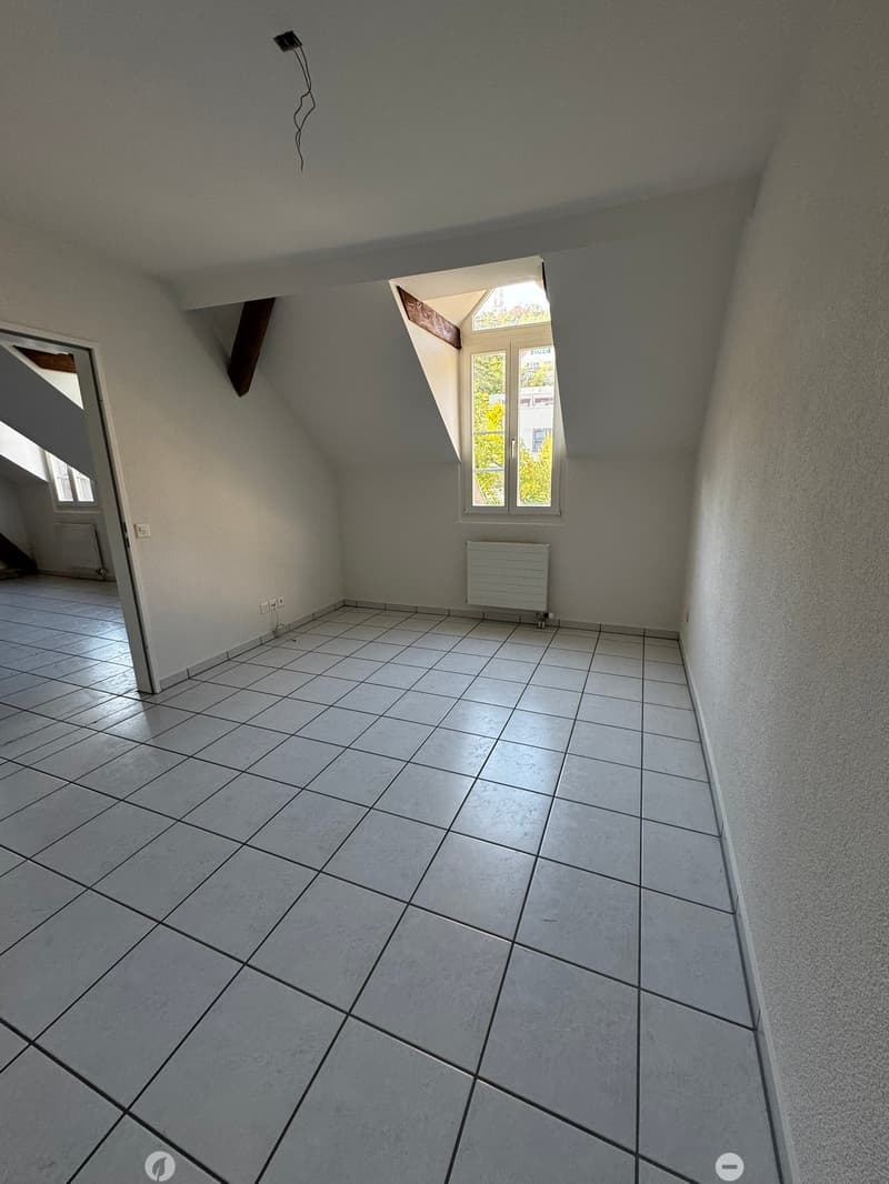Bijoux in gepflegtem Mehrfamilienhaus / Bijoux dans un immeuble bien entretenu (5)