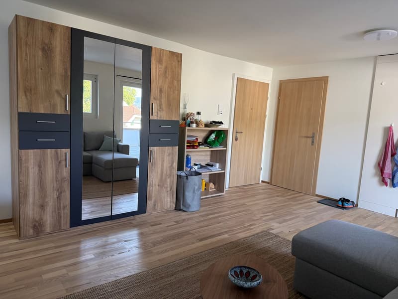 Möblierte 1-Zimmerwohnung im Solothurner Zentrum (3)