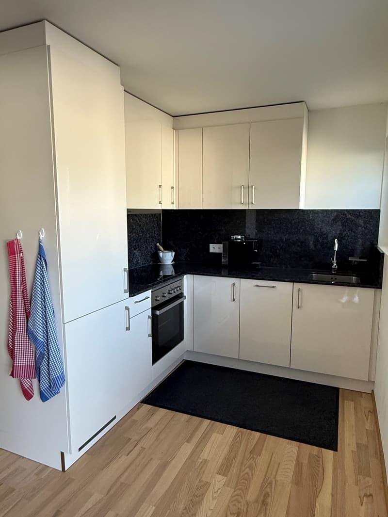 Möblierte 1-Zimmerwohnung im Solothurner Zentrum (1)
