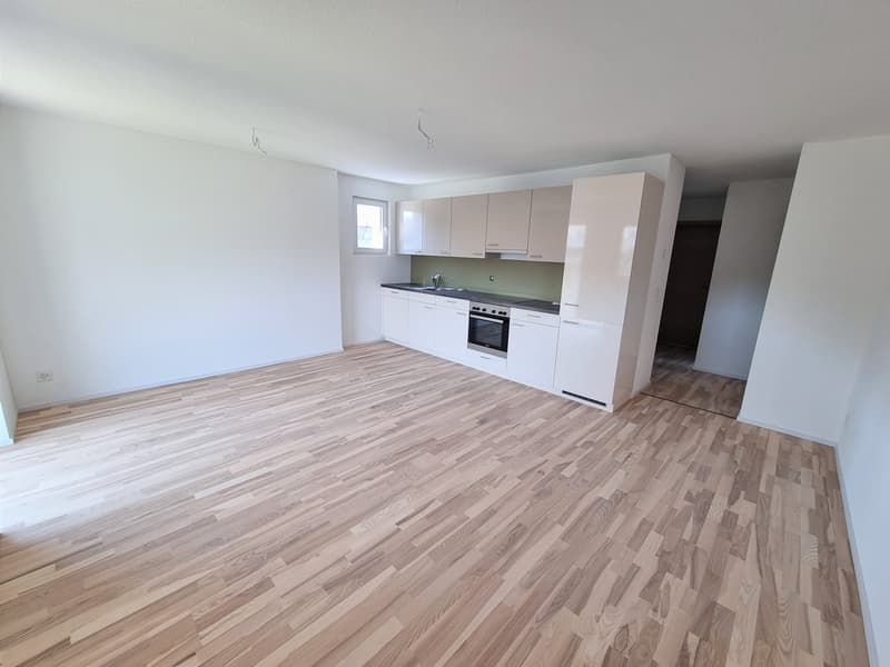 Wohnzimmer / Küche