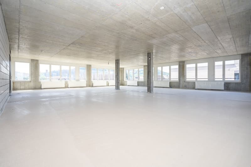 concrete floor, large windows, columns, unfinished walls