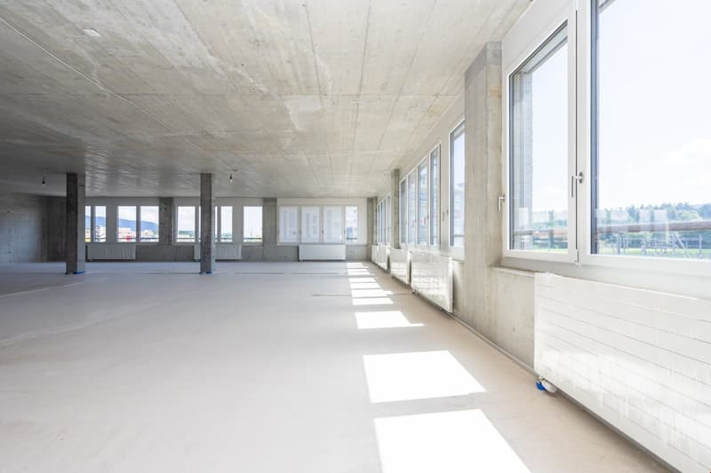 Wide room, several windows, concrete floor, pillars