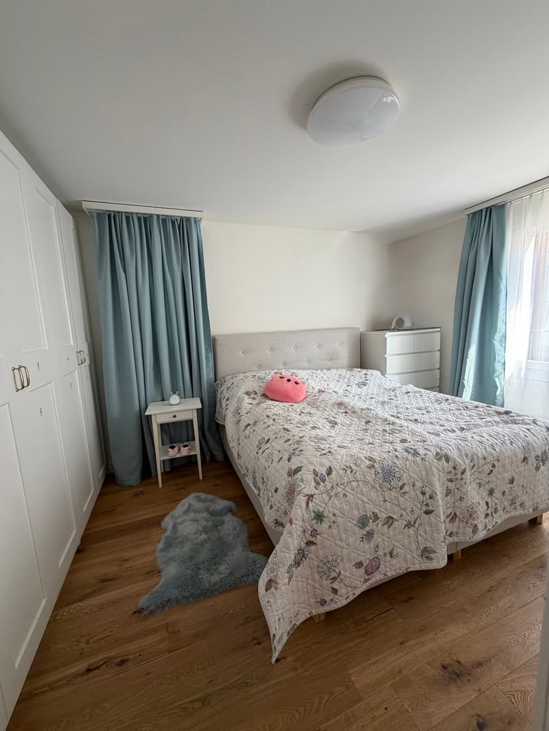 Charming 4.5-room apartment for sale in Hergiswil! (8)