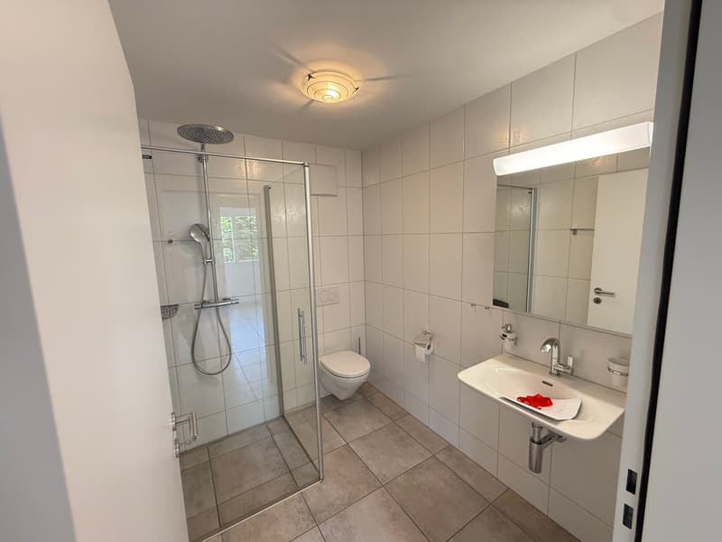 Charming 4.5-room apartment in Lostorf – Modern, Sunny & Comfortable (9)