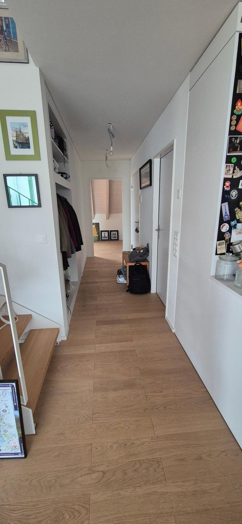 Ampio appartamento-mansarda di 3,5 locali in una zona tranquilla a Witterswil in affitto! (1)