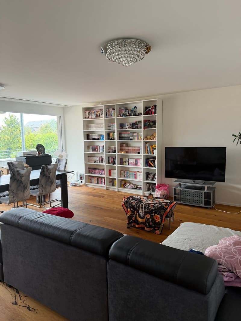 Moderne 3.5 Zimmerwohnung in Kappel zu vermieten! (1)