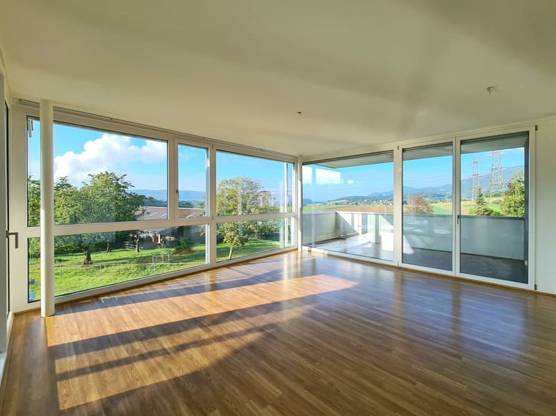 Lichtdurchflutete 4.5 Zimmerwohnung an ruhiger Lage zu vermieten! (10)
