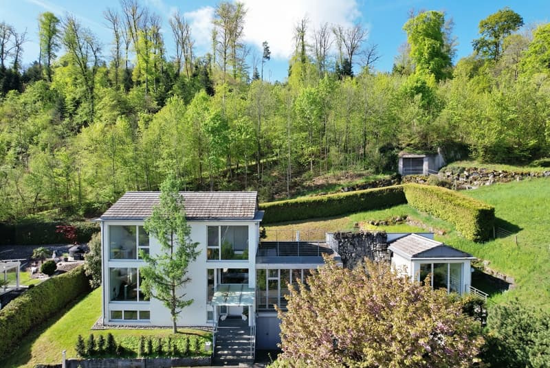 EXTRAORDINARY VILLA WITH HEATED OUTDOOR POOL AND PANORAMIC VIEW (1)