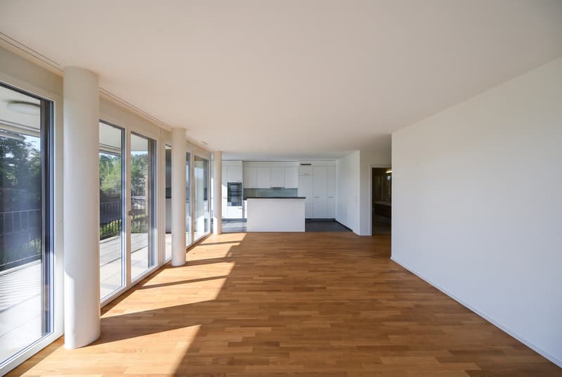 PANORAMA. ARCHITEKTUR. PRIVILEG. (3)