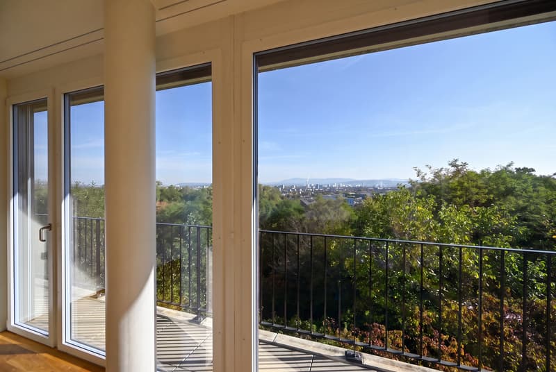 PANORAMA. ARCHITEKTUR. PRIVILEG. (7)
