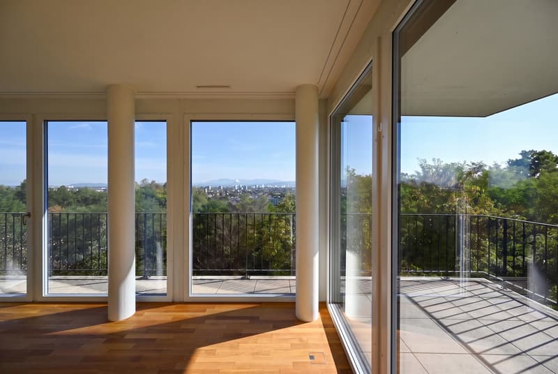 PANORAMA. ARCHITEKTUR. PRIVILEG. (1)