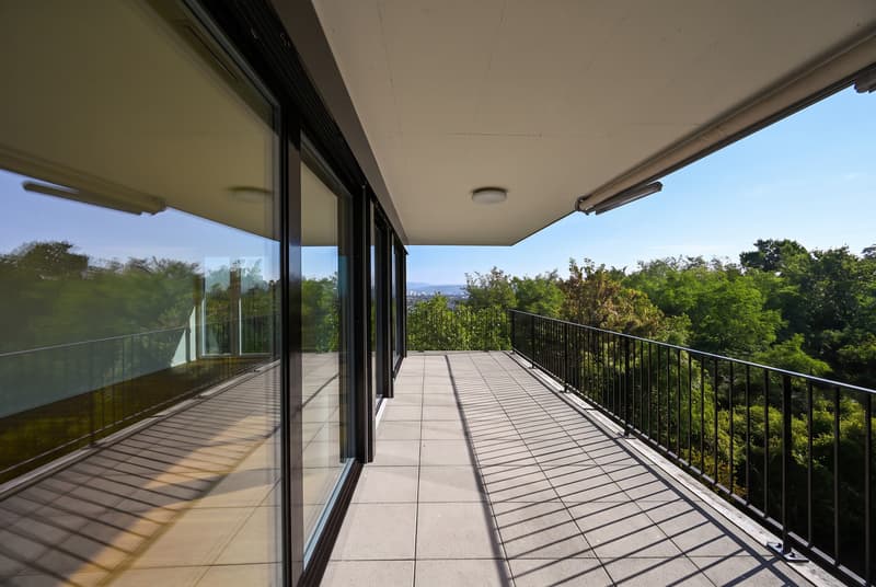 PANORAMA. ARCHITEKTUR. PRIVILEG. (8)