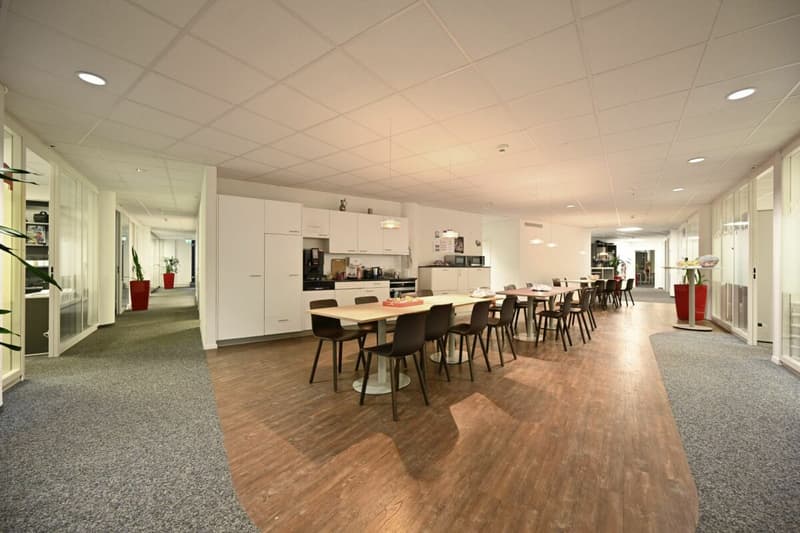 Espace de bureau spacieux et aménagé au Mattenhof (2)