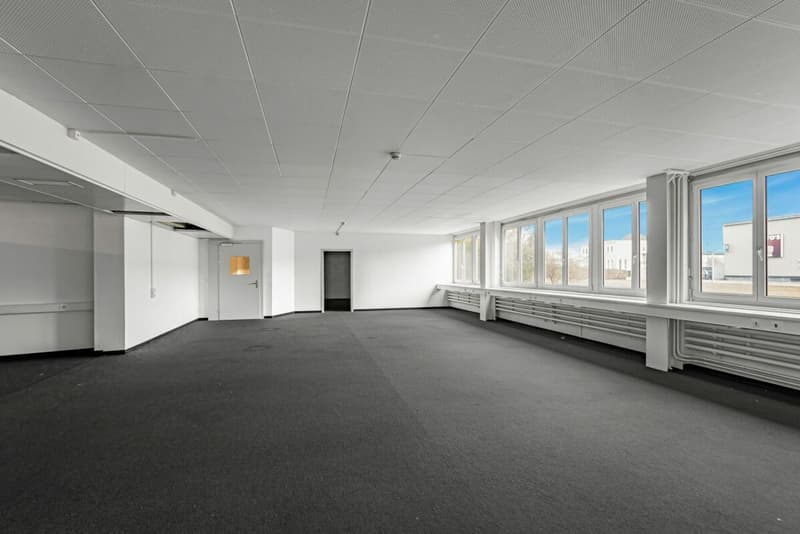 Gewerbeliegenschaft mit grossem Entwicklungspotenzial (8)