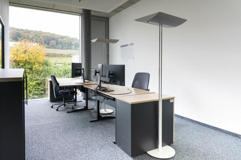 Espaces de production et de bureau attractifs à louer (10)