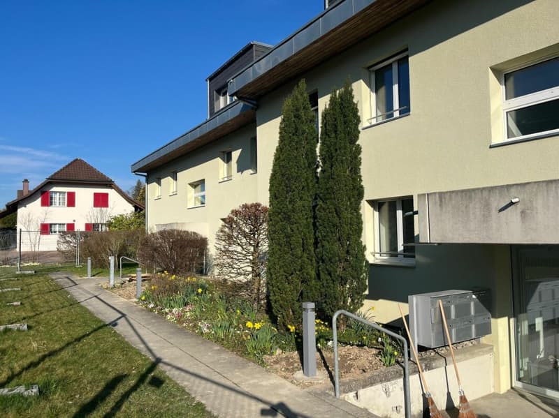 Your new home in Jegenstorf - freshly renovated 2-room apartments (6)