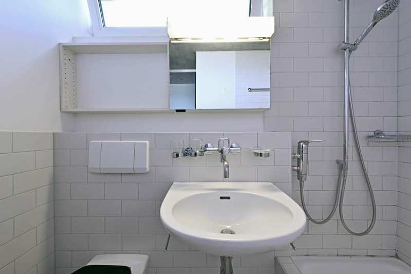 Appartement 2.5 pièces dans la résidence Ried Niederwangen (7)