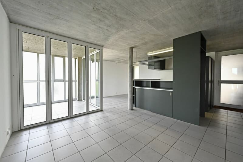 Appartement 2.5 pièces dans la résidence Ried Niederwangen (2)