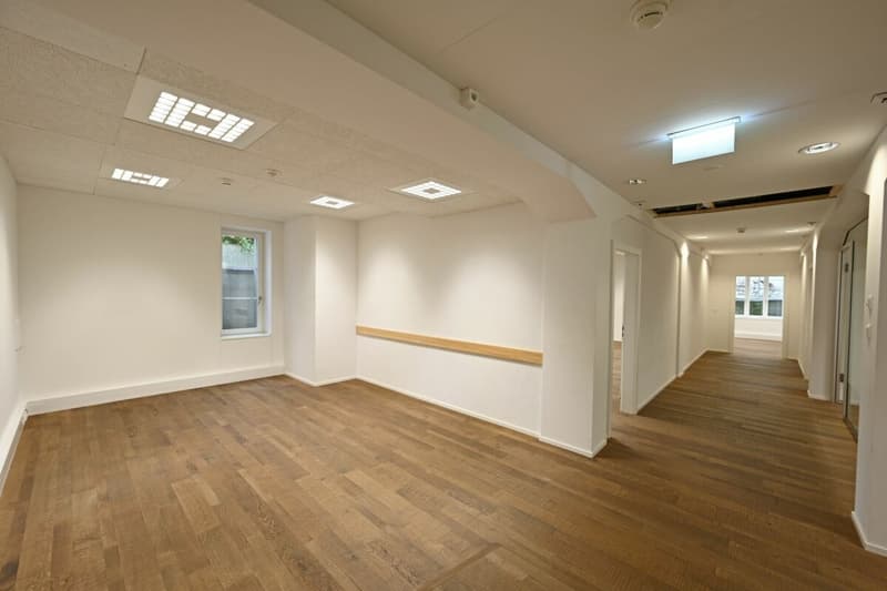 214 m² Spazio Commerciale (3)