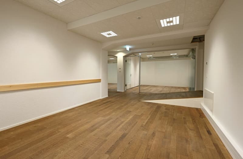 214 m² Spazio Commerciale (2)