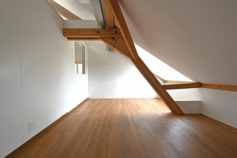 Appartamento loft spazioso 2.5 locali (7)
