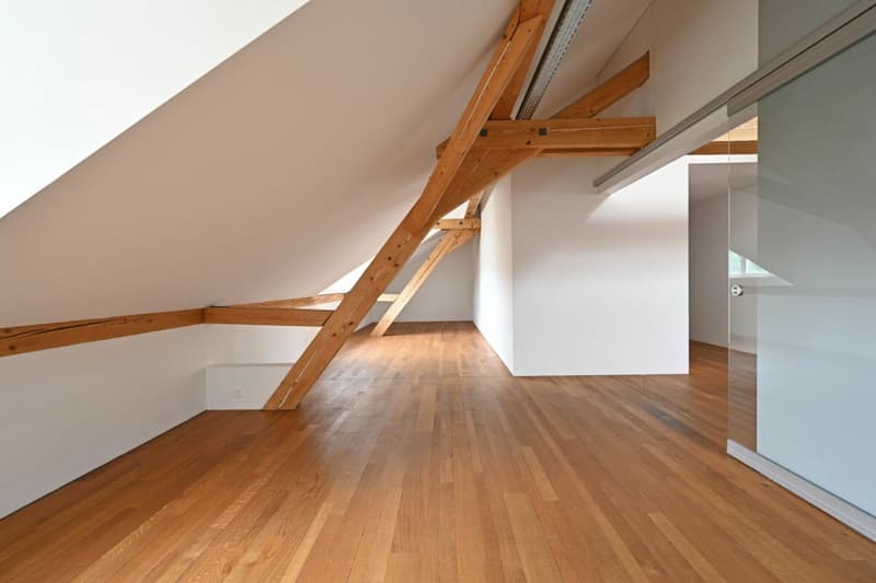 Appartamento loft spazioso 2.5 locali (6)
