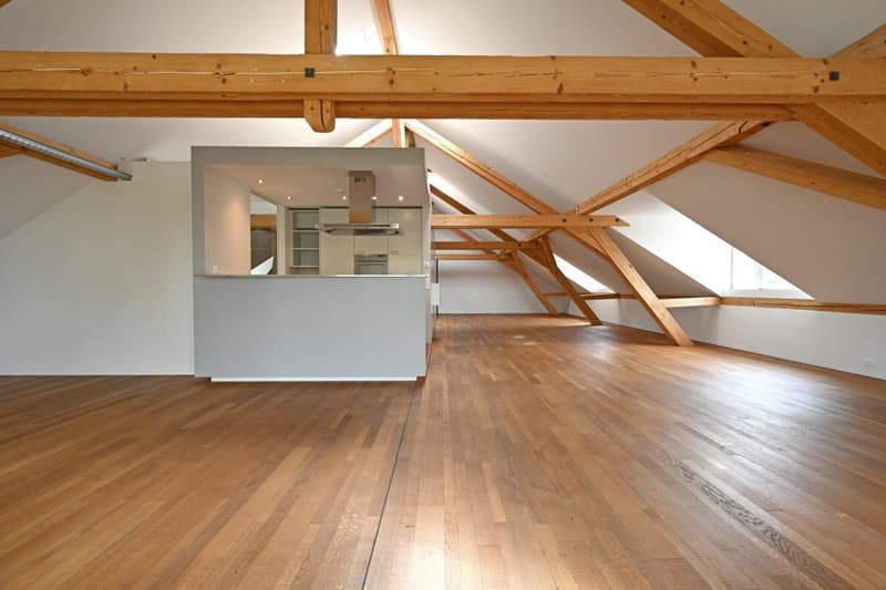 Appartamento loft spazioso 2.5 locali (4)