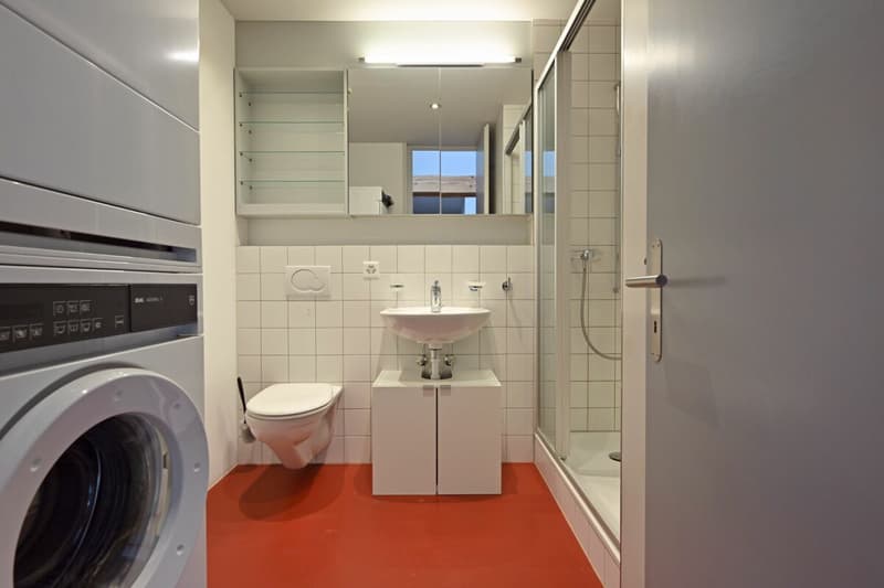 Appartamento loft spazioso 2.5 locali (8)