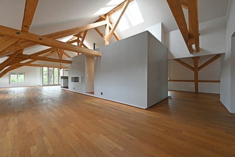 Appartamento loft spazioso 2.5 locali (5)