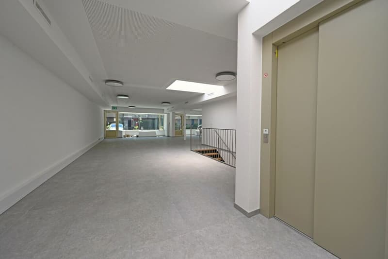 Stylish commercial space with high-quality finishes (4)