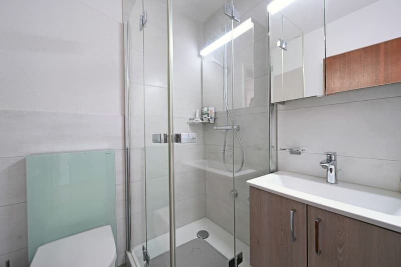 4.5-Zimmer-Attikawohnung mit Weitblick und grosser Terrasse (9)