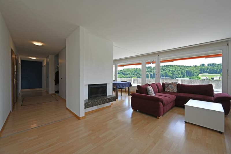 4.5-Zimmer-Attikawohnung mit Weitblick und grosser Terrasse (4)
