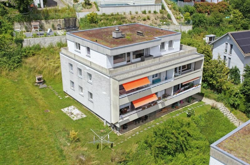 4.5-Zimmer-Attikawohnung mit Weitblick und grosser Terrasse (1)
