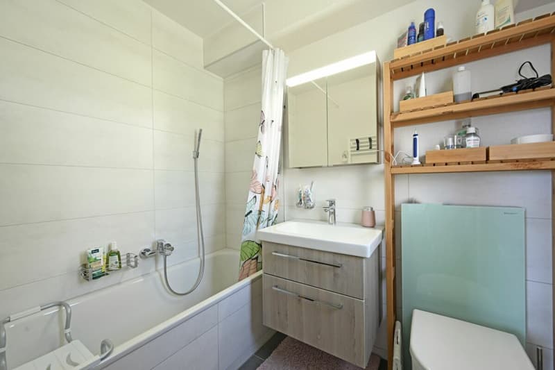4.5-Zimmer-Attikawohnung mit Weitblick und grosser Terrasse (8)