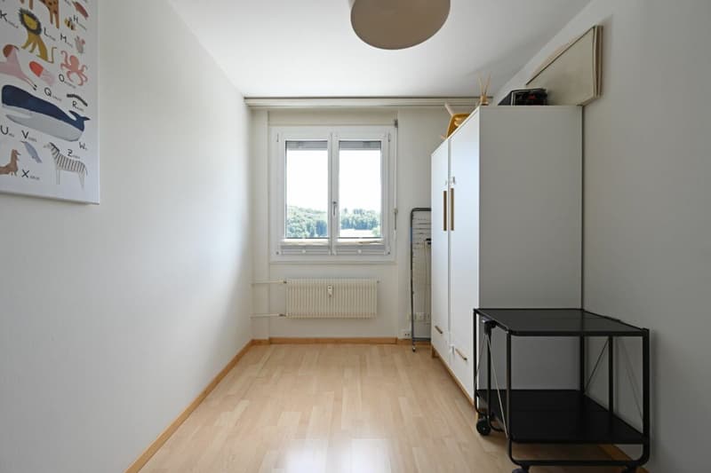 4.5-Zimmer-Attikawohnung mit Weitblick und grosser Terrasse (7)
