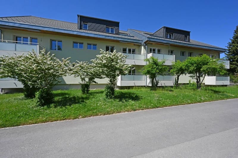 Ankommen & wohlfühlen - sanierte Wohnung in Jegenstorf (1)