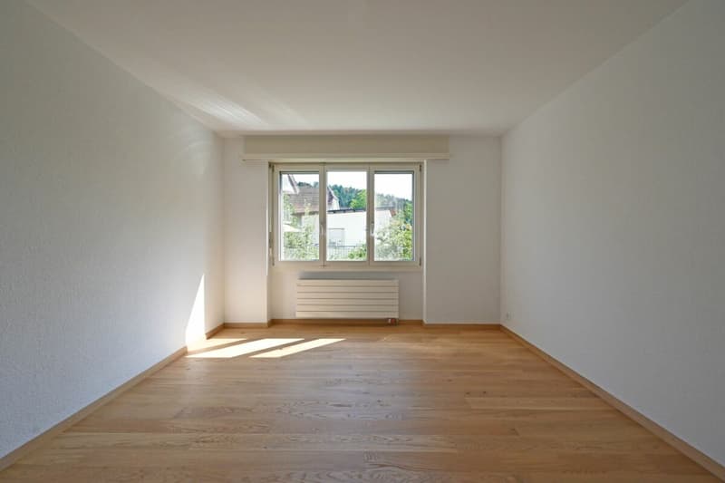 Sanierte 4.5-Zimmerwohnung an ruhiger Lage (3)