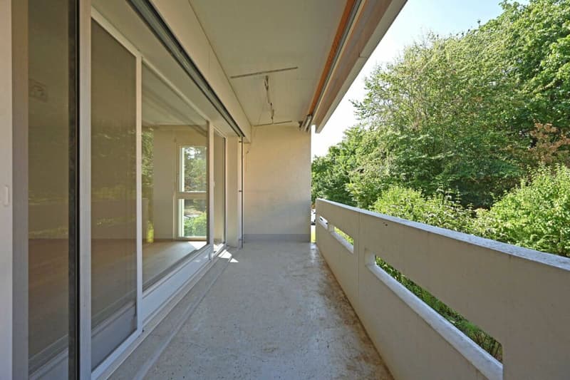 Sanierte 4.5-Zimmerwohnung an ruhiger Lage (6)